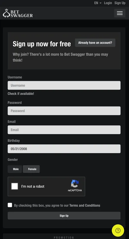 Bet Swagger registration form showing username, email and birthday fields